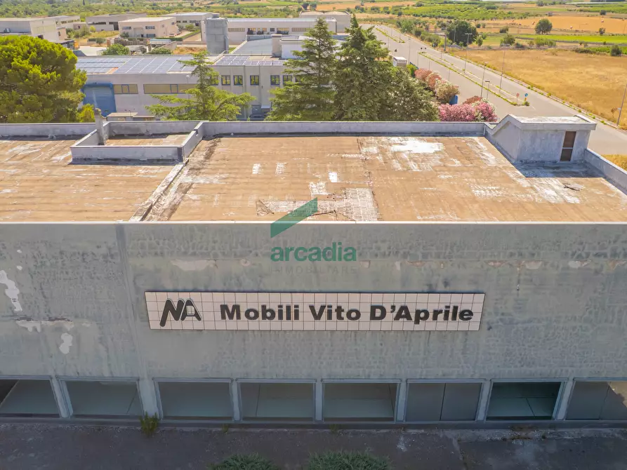 Immagine 16 di Capannone industriale in vendita  in Km 31, 800 a Sammichele Di Bari