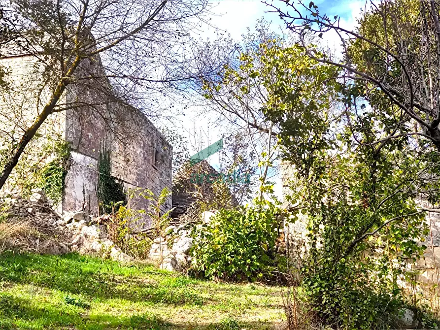 Immagine 5 di Rustico / casale in vendita  in Via Bosco Selva 24 a Alberobello