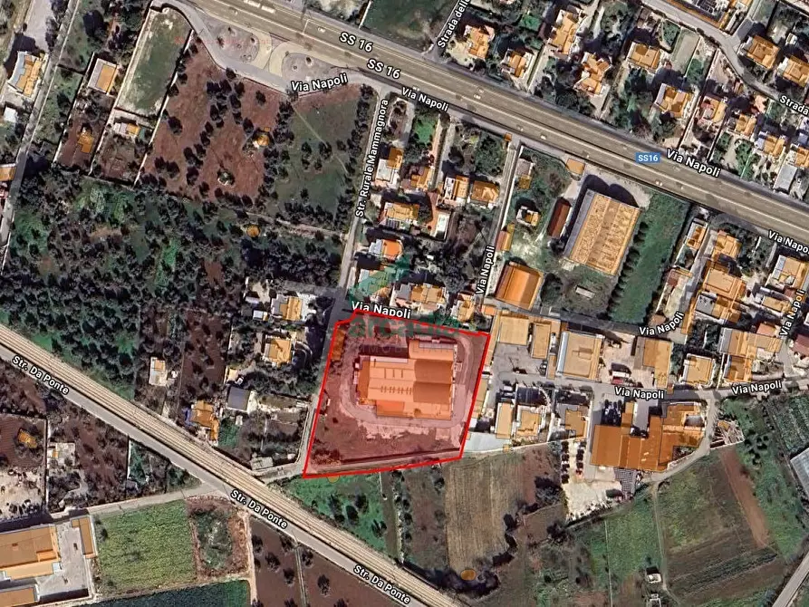 Immagine 11 di Attività artigianale in vendita  in Strada Rurale Mammagnora 3 a Bari