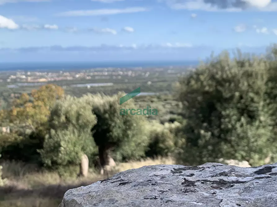 Immagine 6 di Rustico / casale in vendita  in Contrada Torchiano a Monopoli