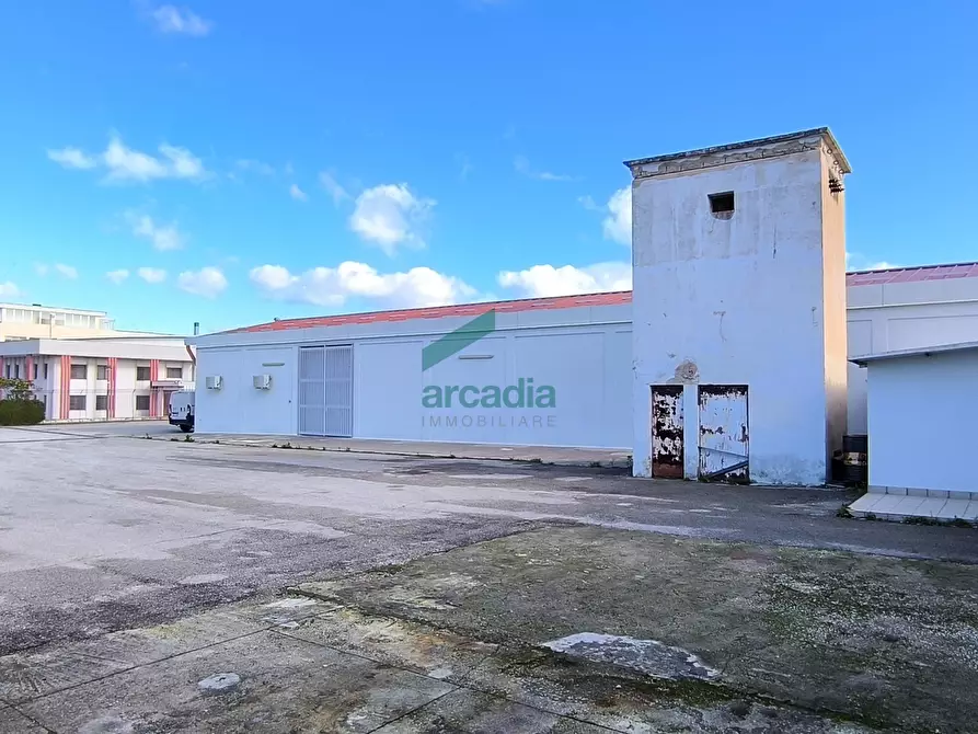 Immagine 29 di Attività artigianale in affitto  in S.S. 16 km 810,800 SN a Triggiano