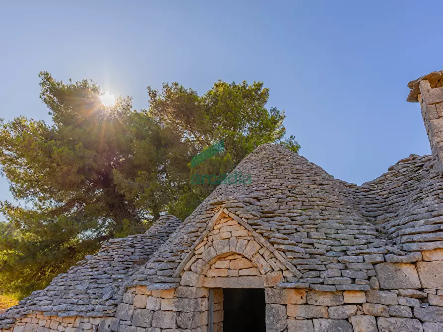 Immagine 28 di Rustico / casale in vendita  in Contrada Scrasciolla 13 a Alberobello