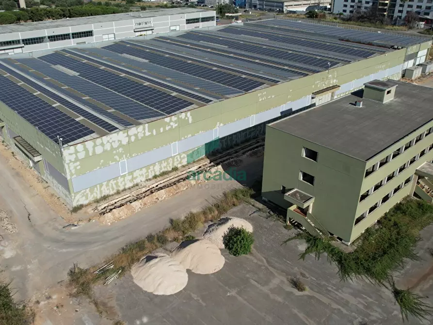 Immagine 11 di Attività artigianale in vendita  in Via delle Violette 12 a Modugno