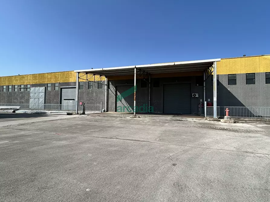 Immagine 8 di Attività artigianale in affitto  in SP231 98 a Terlizzi