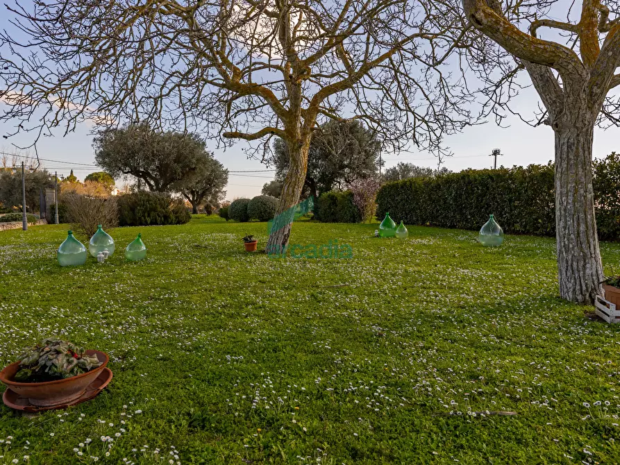 Immagine 49 di Villa in vendita  in Strada Vicinale Vecchia di Matera 369 a Gioia Del Colle