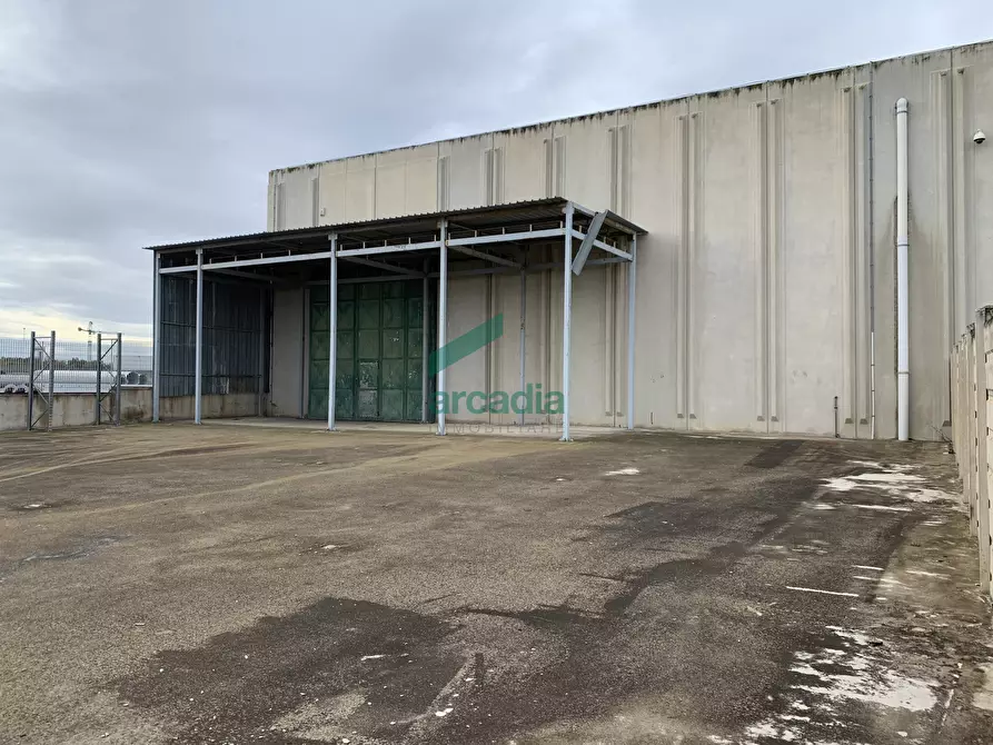 Immagine 9 di Attività artigianale in vendita  in Via dei Gladioli 6 a Modugno