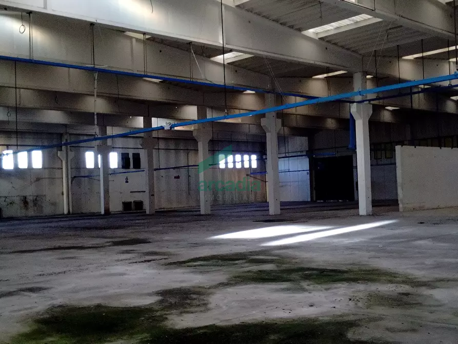 Immagine 3 di Attività artigianale in affitto  in SP231 KM 0,800 a Modugno