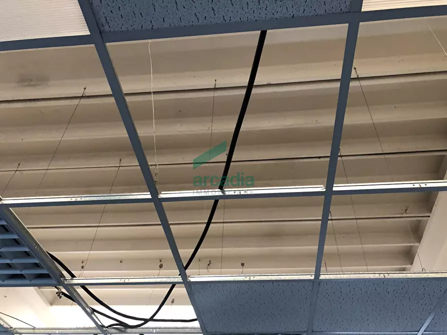 Immagine 13 di Attività artigianale in affitto  in SP231 KM 3,800 a Bitonto