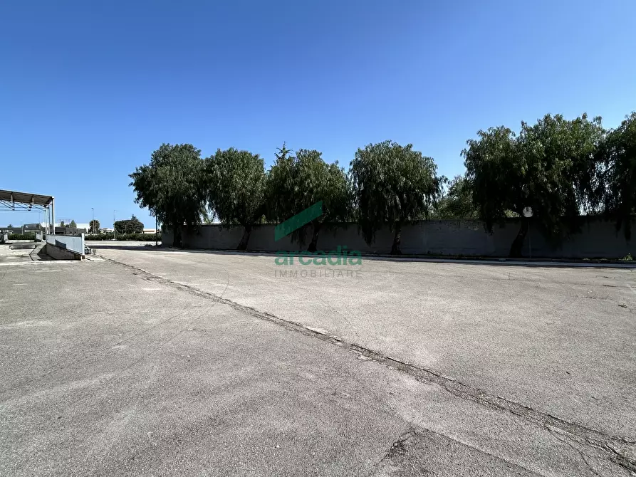 Immagine 11 di Attività artigianale in affitto  in SP231 98 a Terlizzi