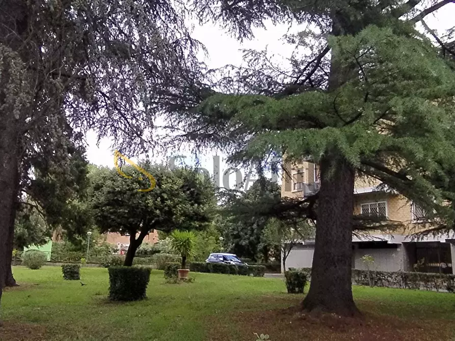 Immagine 44 di Trilocale in affitto  in Via degli Oleandri a Terni