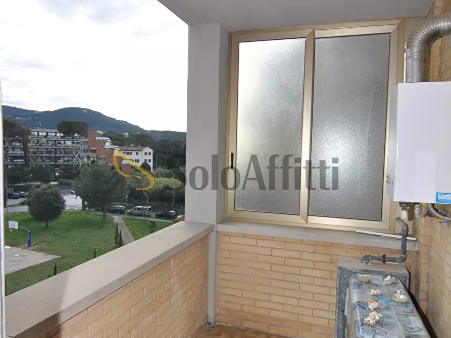 Immagine 6 di Bilocale in affitto  a Livorno