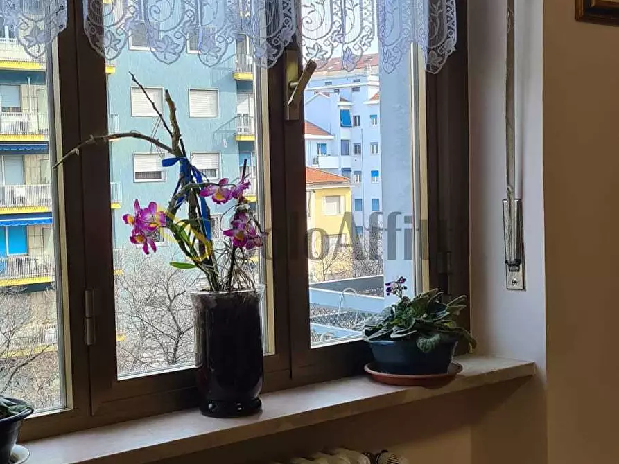Immagine 13 di Bilocale in affitto  in Corso Peschiera a Torino