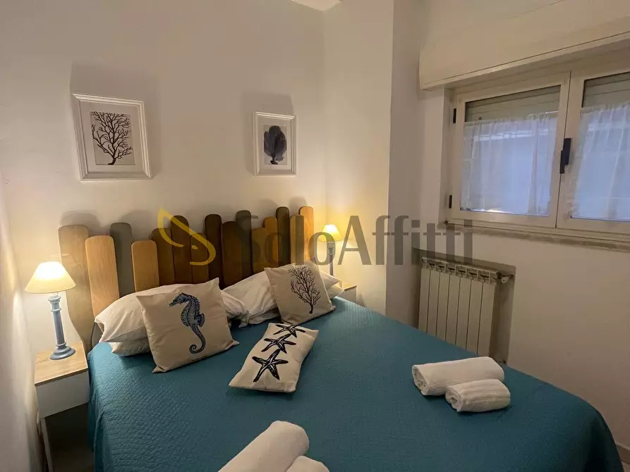 Immagine 5 di Trilocale in affitto  a Nettuno