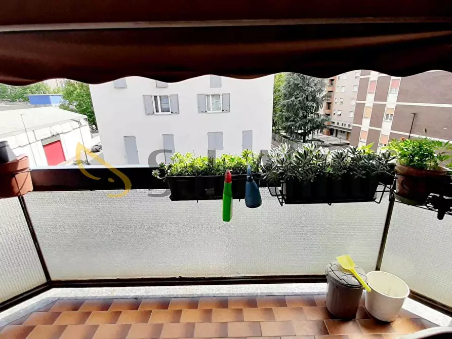 Immagine 13 di Bilocale in affitto  in Via Pietro Calamandrei a Cinisello Balsamo