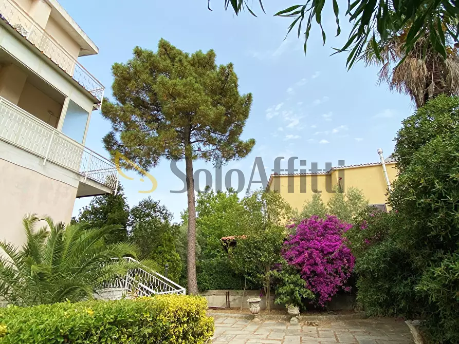 Immagine 12 di Trilocale in affitto  a Stalettì