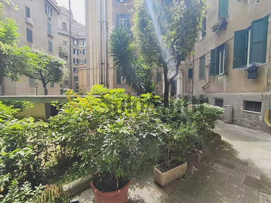 Immagine 19 di Bilocale in affitto  in Via Tommaso Campanella a Roma
