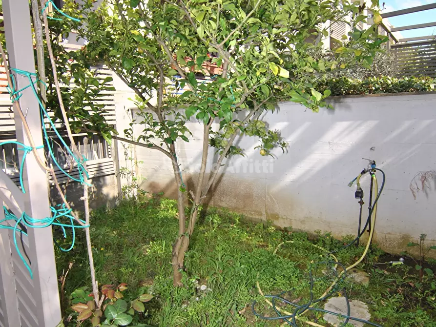 Immagine 7 di Villetta a schiera in affitto  in Via Giovanni Lomi 6 a Livorno