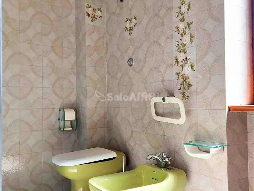 Immagine 27 di Pentalocale in affitto  in Via Giorgio Giorgis a Fiumicino