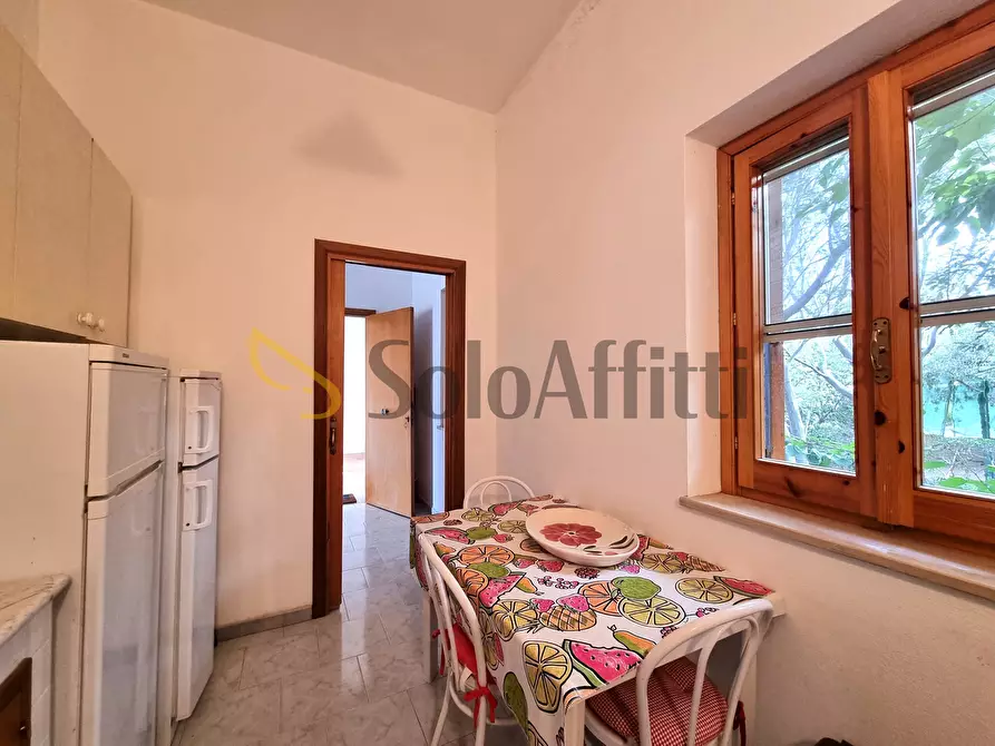 Immagine 5 di Trilocale in affitto  a Montauro