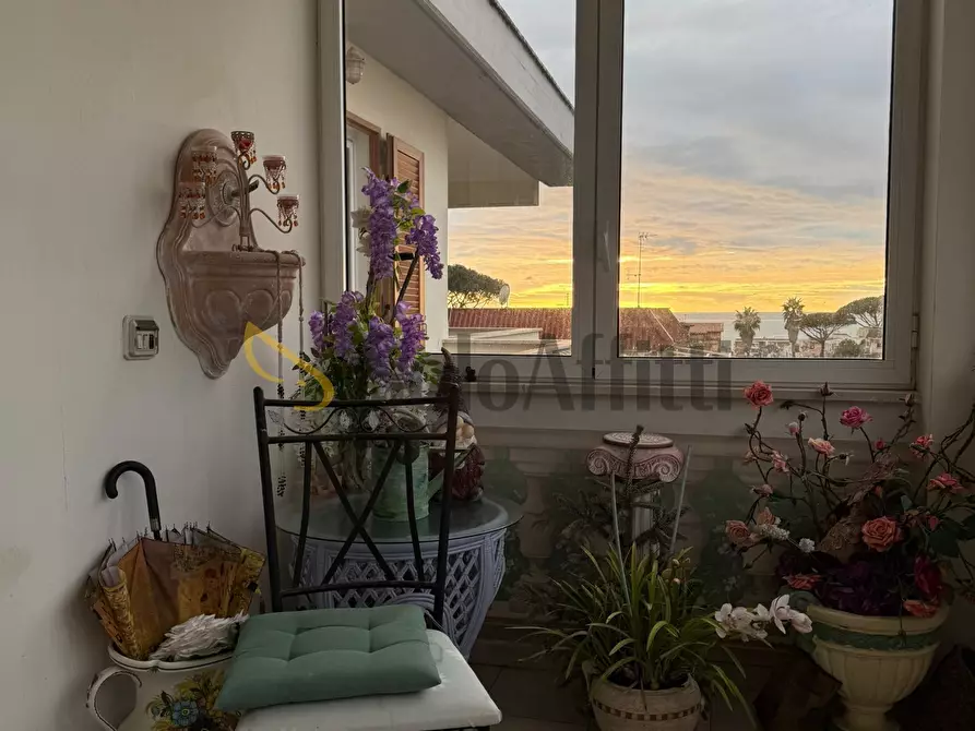 Immagine 17 di Bilocale in affitto  in Via delle Muse a Anzio