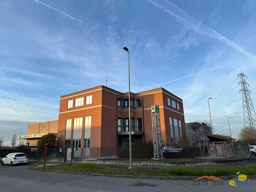 Immagine 5 di Attività artigianale in vendita  in Via Prospero Manara a Parma