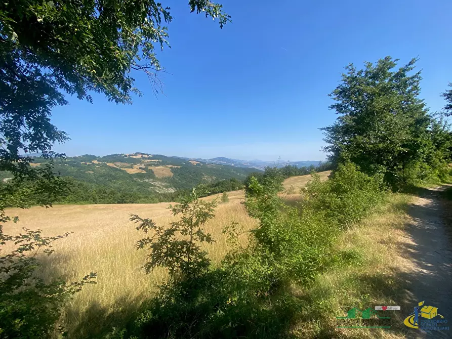 Immagine 7 di Terreno agricolo in vendita  in Località Molinelli 59 a Berceto