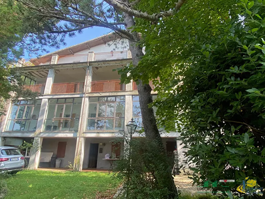 Immagine 9 di Casa indipendente in vendita  in via delle case vecchie 6 a Terenzo