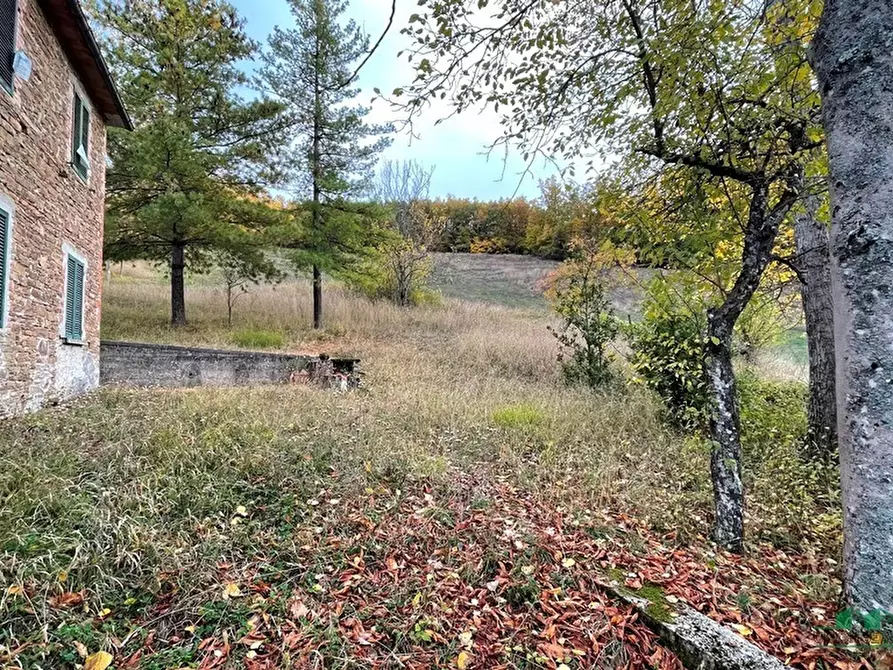 Immagine 14 di Rustico / casale in vendita  in pessola casa gasparone 81 a Varsi