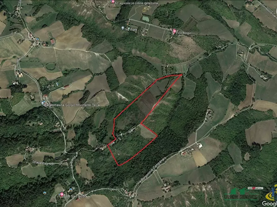 Immagine 21 di Terreno agricolo in vendita  in Miano a Medesano