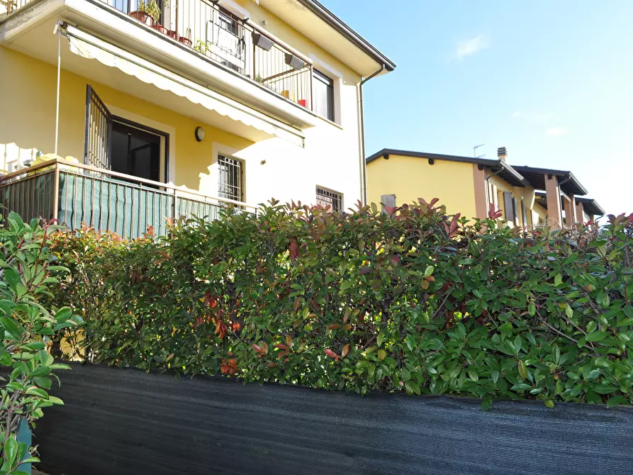 Immagine 51 di Trilocale in vendita  in Via Bussolati a Fontanellato