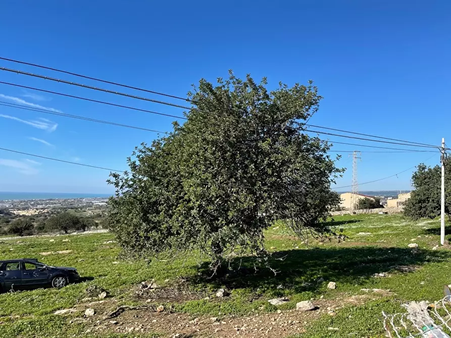Immagine 2 di Terreno agricolo in vendita  in Contrada San Marco a Scicli