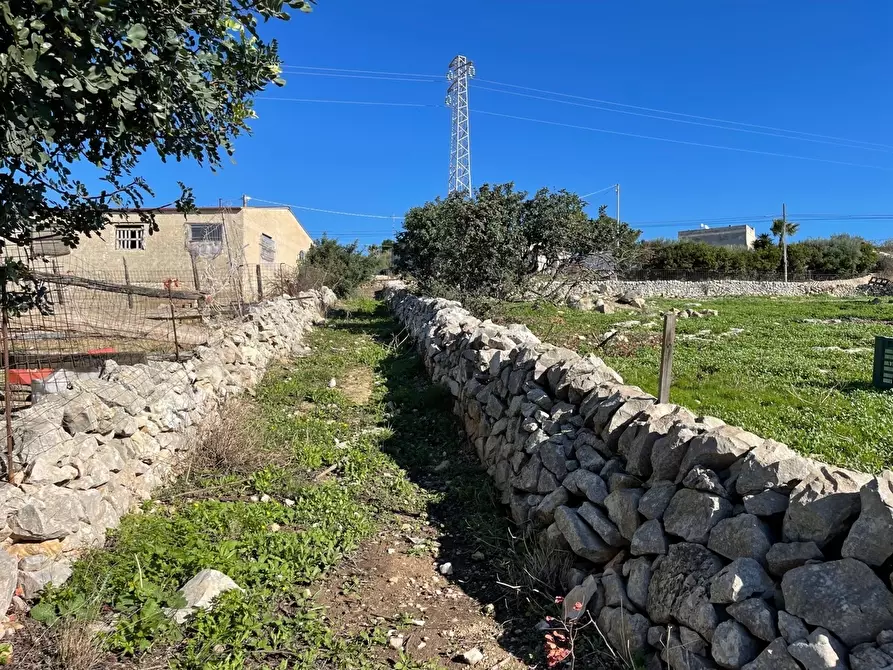Immagine 5 di Terreno agricolo in vendita  in Contrada San Marco a Scicli