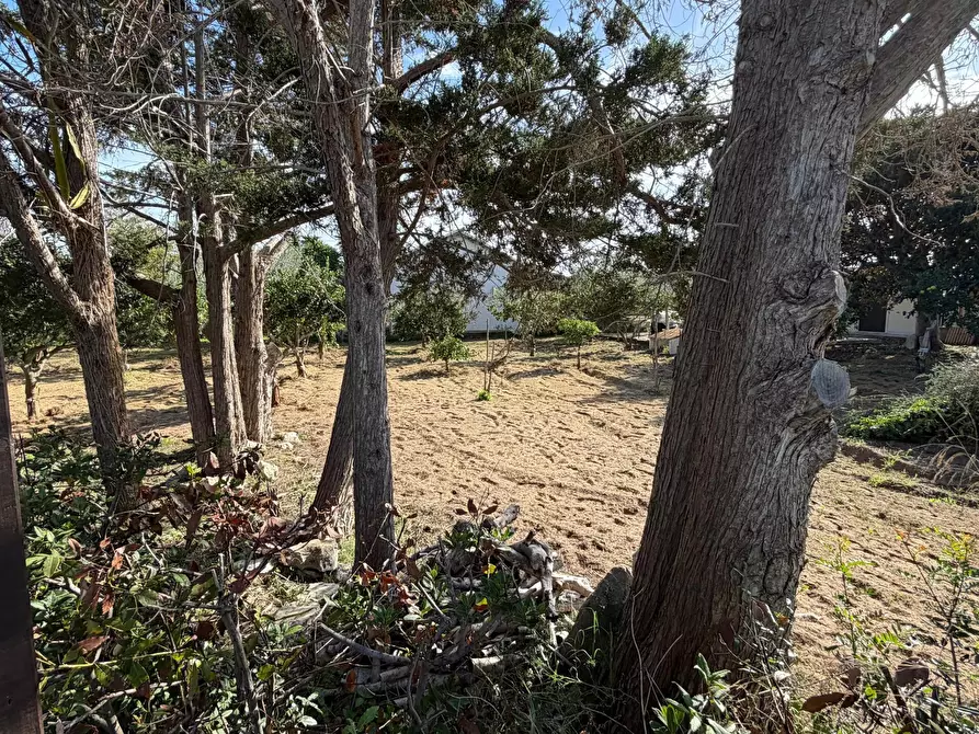 Immagine 11 di Villa in vendita  in Via del Giglio a Ispica