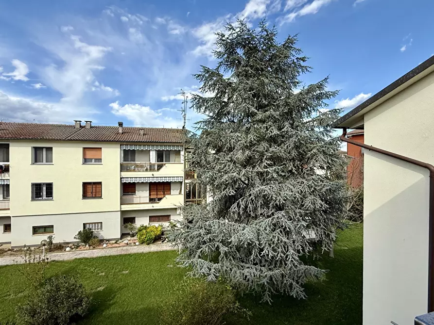 Immagine 9 di Pentalocale in vendita  in via verde 13 a Ozzano Dell'emilia