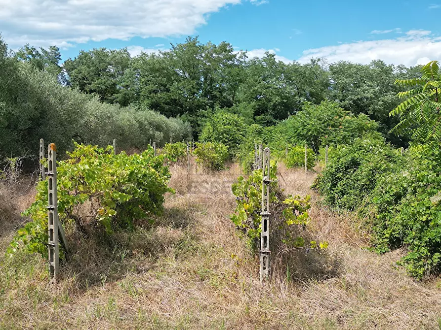 Immagine 9 di Rustico / casale in vendita  in Via del brennero 126 a Lucca