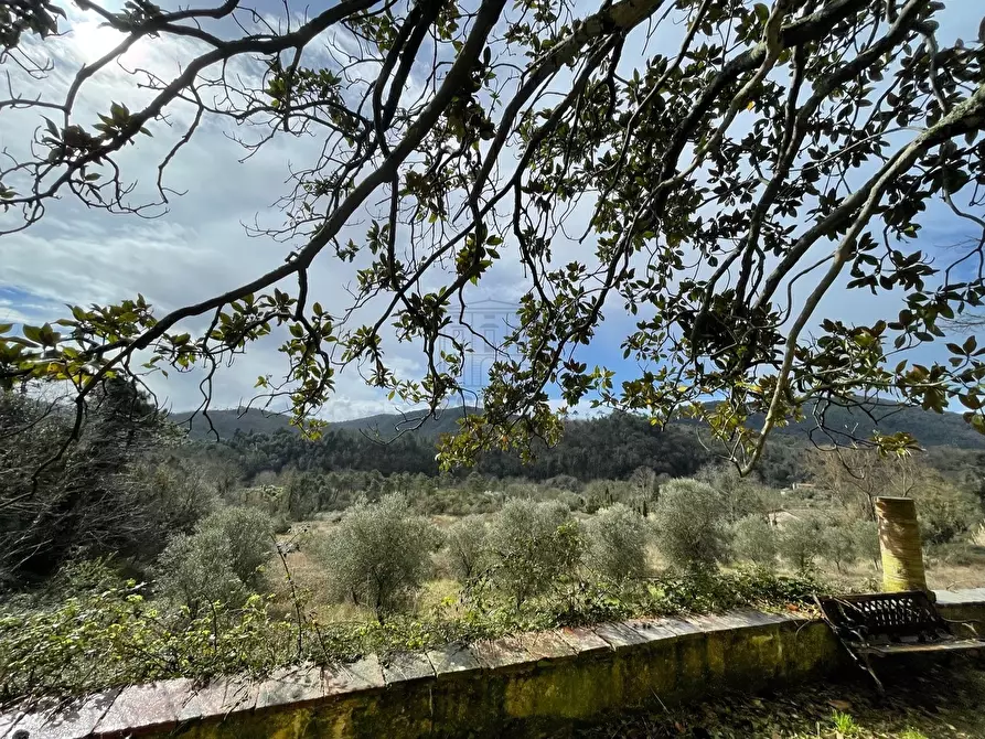 Immagine 34 di Villa in vendita  a Lucca