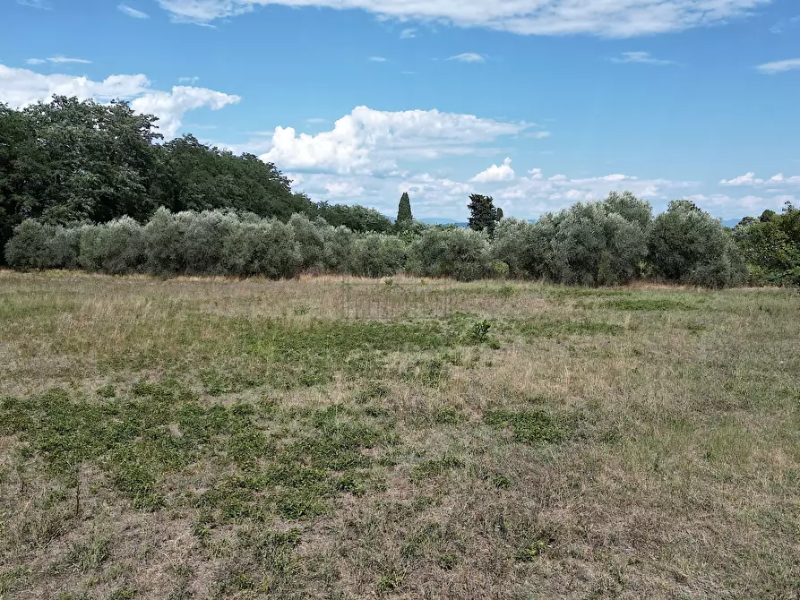 Immagine 19 di Rustico / casale in vendita  in Via del brennero 126 a Lucca