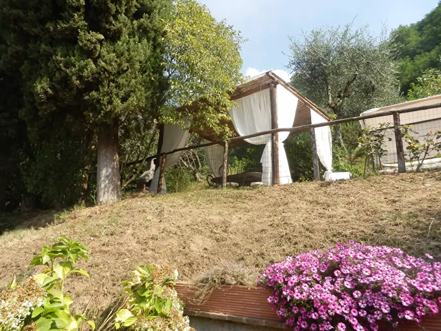 Immagine 35 di Rustico / casale in vendita  a Capannori