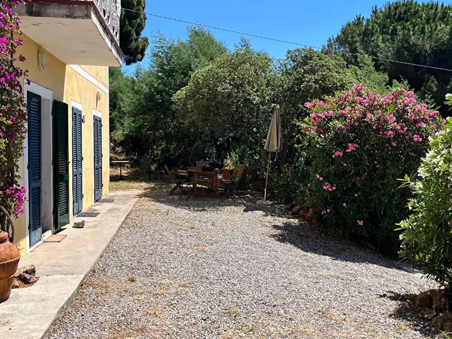 Immagine 12 di Rustico / casale in vendita  in Località Monte 4 a Porto Azzurro