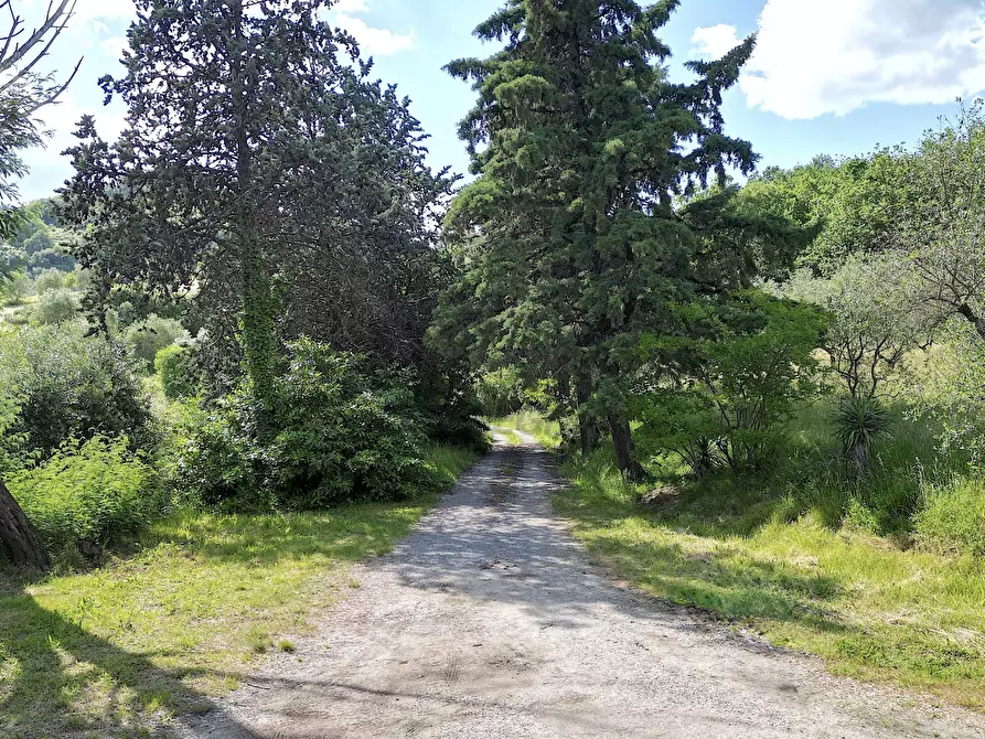 Immagine 6 di Rustico / casale in vendita  in Via della Chiesa XXXI 536 a Lucca