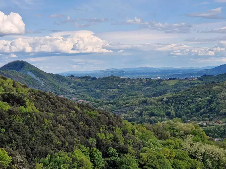 Immagine 61 di Rustico / casale in vendita  in Località Pieve di Cerreto 3 a Borgo A Mozzano