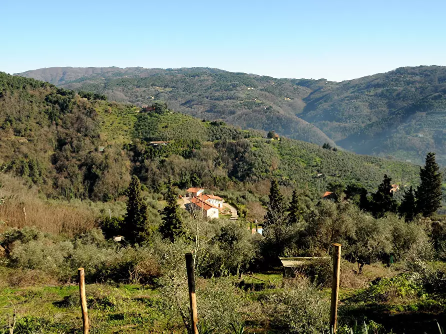 Immagine 30 di Rustico / casale in vendita  in Strada Senza Nome 5 a Pescia
