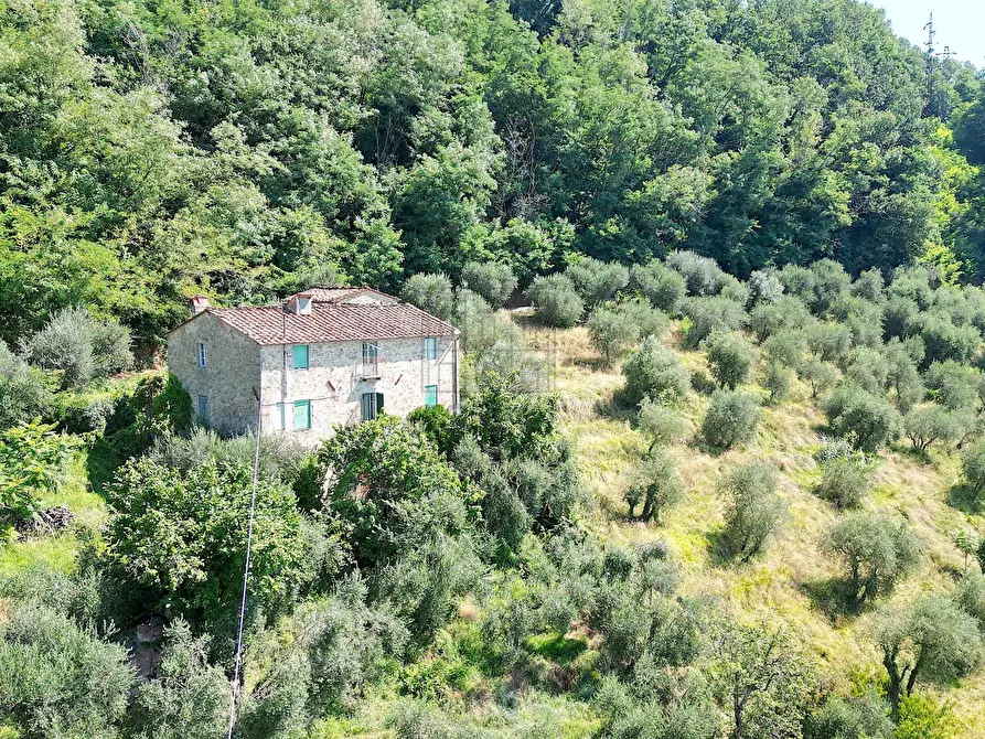 Immagine 1 di Rustico / casale in vendita  in Via Pesciatina a Lucca