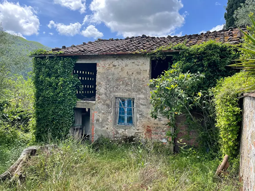 Immagine 5 di Villa in vendita  in Via del Macennere 8252/A a Lucca