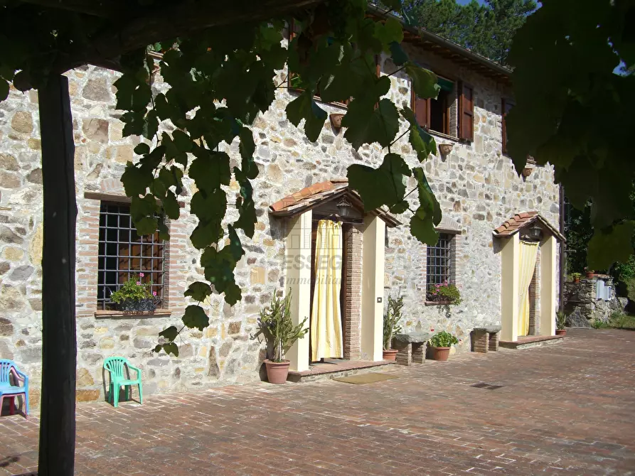 Immagine 2 di Rustico / casale in vendita  in viadon aldo mei a Buti