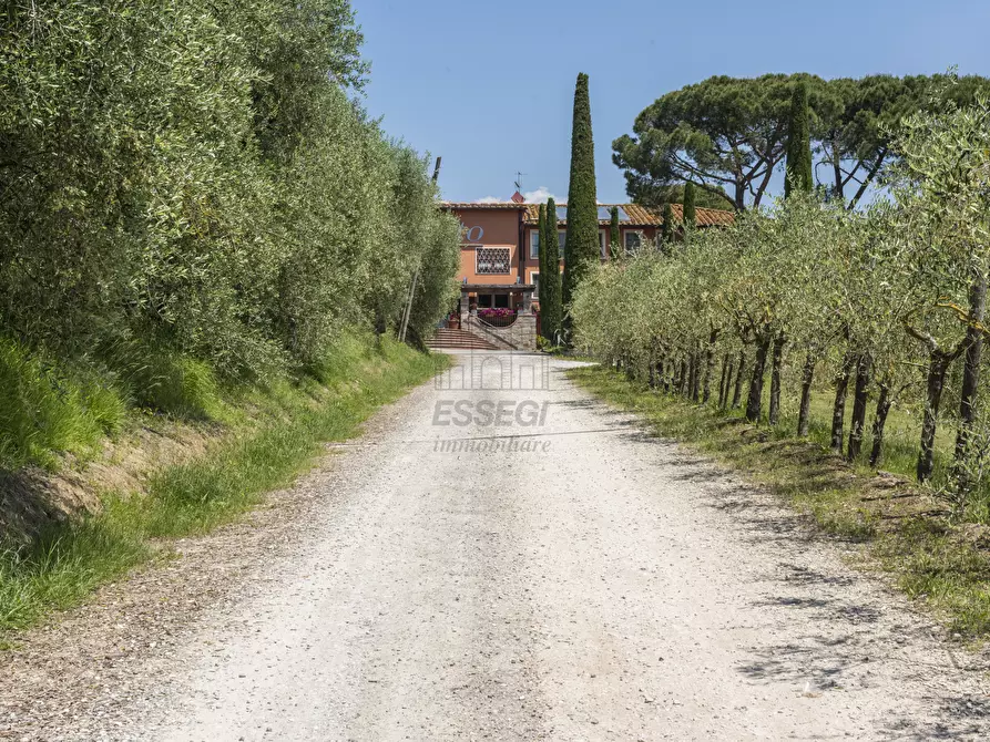 Immagine 16 di Rustico / casale in vendita  in Via di Montecarlo 59 a Lucca