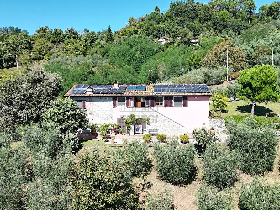 Immagine 3 di Rustico / casale in vendita  in Località Frantoio, Valdottavo 17 a Borgo A Mozzano