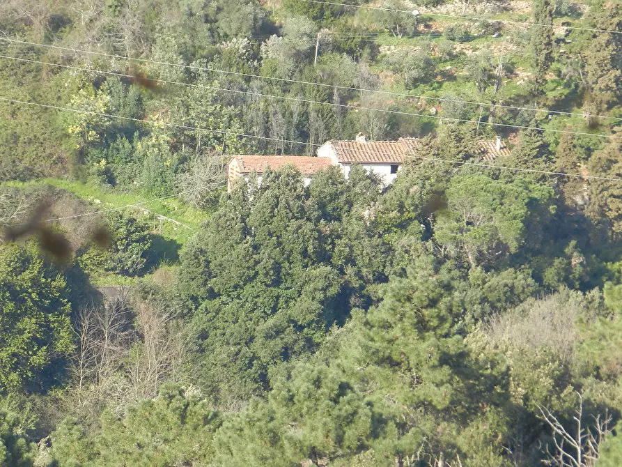 Immagine 2 di Rustico / casale in vendita  in Via per Chiatri a Lucca