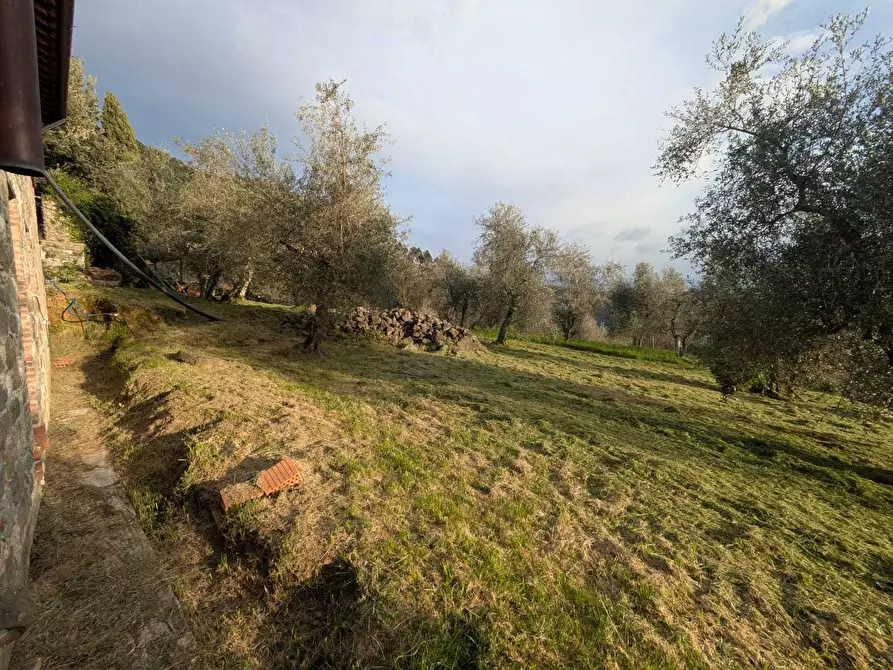 Immagine 15 di Rustico / casale in vendita  in via del Calissi 18 a Pescaglia