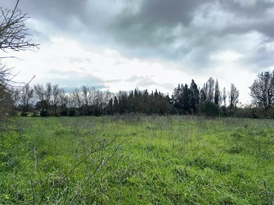 Immagine 5 di Terreno agricolo in vendita  a San Sperate
